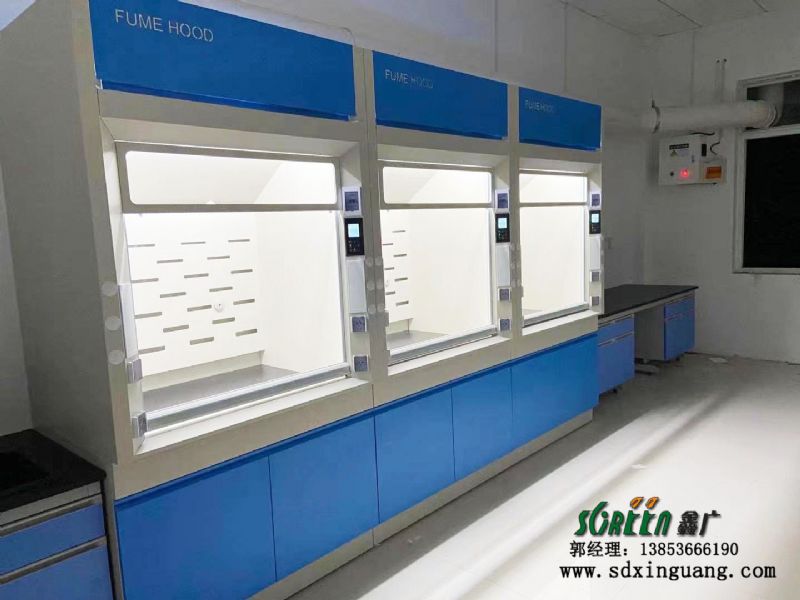 東營市山東大明環保工程技術有限公司實驗室邊臺、通風系統等實驗室家具安裝現場